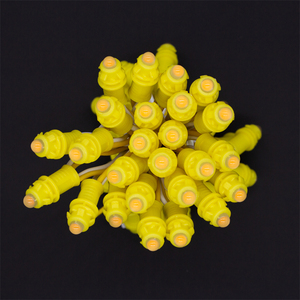 Modulo pixel LED intelligente impermeabile punto luce 12V LED pixel light - Product Image 5
