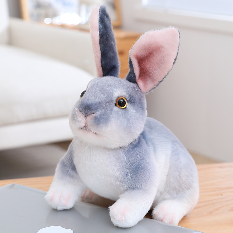 ตำแหน่งแป้นเหยียบกระต่ายสีเทา