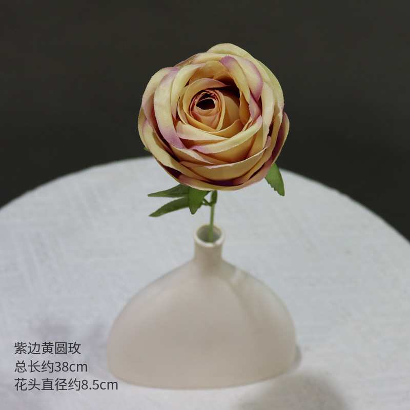 A Branch Of Purple Edged Yellow Round Rose