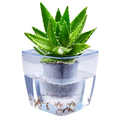 Vasos hidropônicos para plantas, mini vasos transparentes para plantas, potes ecológicos para tanque de peixes, vasos de flores internos, recém-chegado, 2021