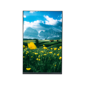 800x1280 Customized Capacitive Touch Panel 10.1 inch TFT <strong>LCD</strong> <strong>Display</strong> Module 10.1 inch IPS <strong>LCD</strong> Module - Product Image 1