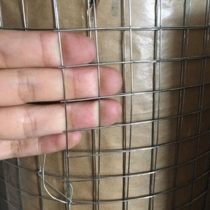 Kaliteli kaplamalı Pvc 1/2x 1/2 sıcak daldırma galvanizleme hattı için kaynaklı tel örgü kuş kafesi papağan köpek kulübesi - Product Image 5