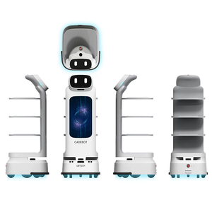 Робот для быстрой доставки - Product Image 1