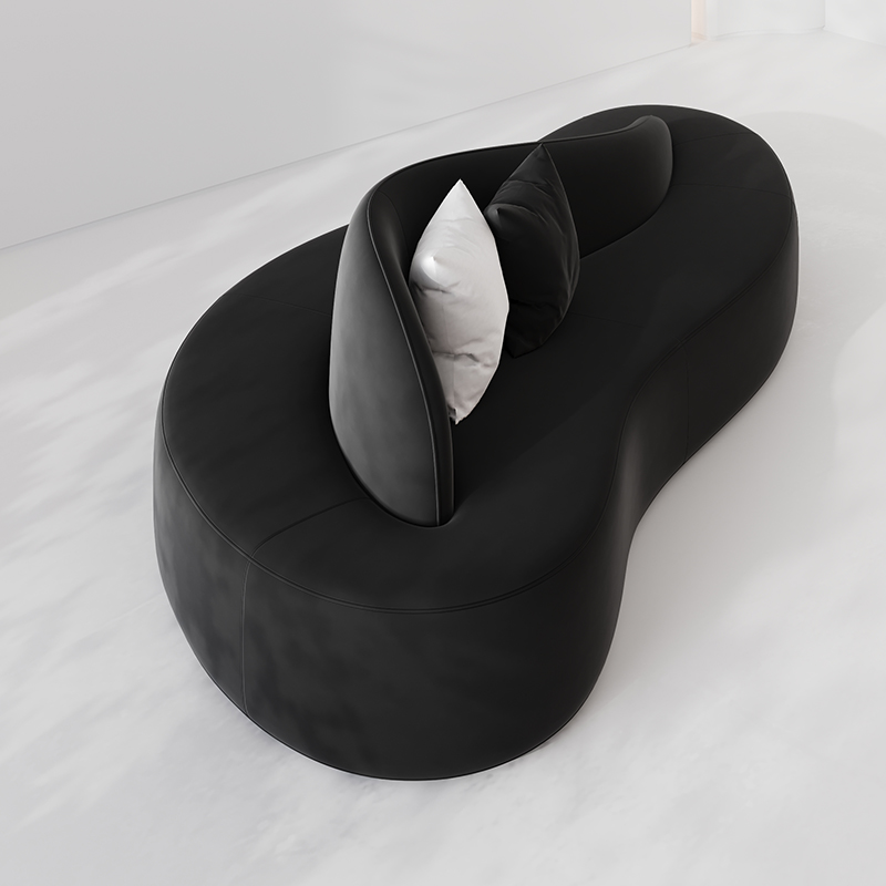 Noir obsidienne (noir givré)