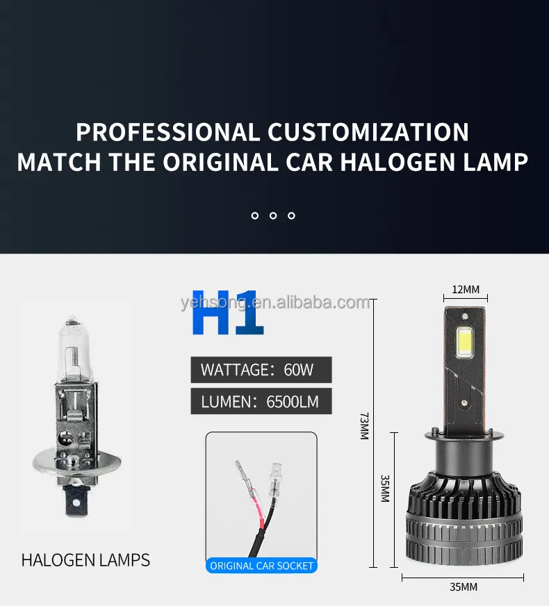 H1