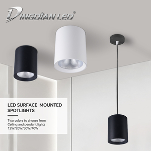 DINGDIAN gắn trần AC220V 2.5inch 12W 3000K 4000K 6000K <span class=keywords><strong>COB</strong></span> LED Downlight nhôm Led Spotlight - Product Image 3