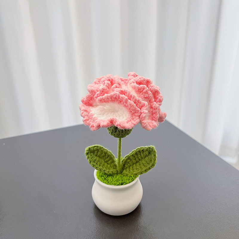 rose dégradé