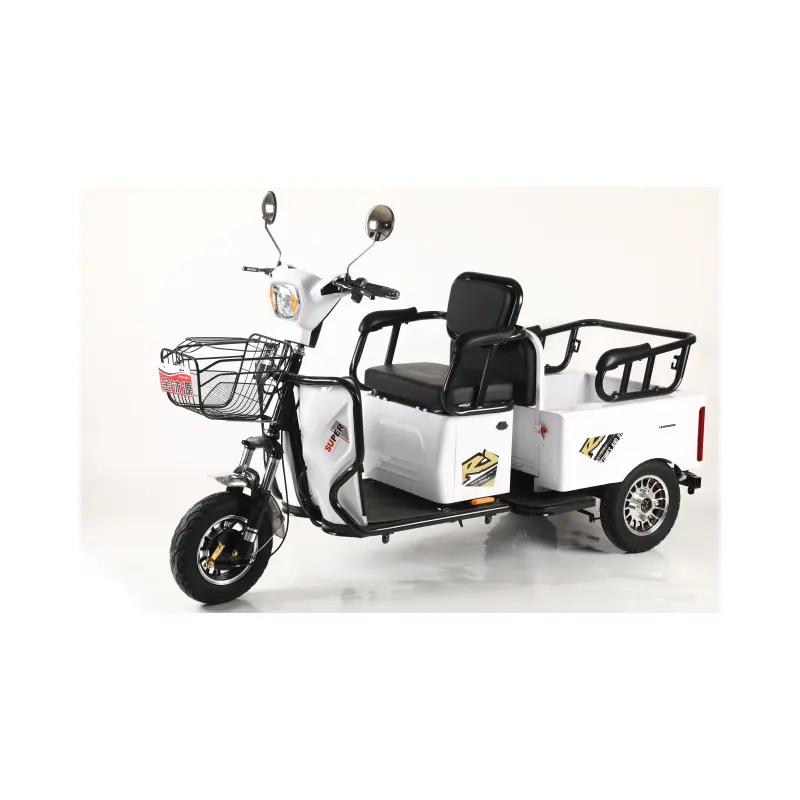 Kualitas tinggi populer 600W 3 roda kargo listrik sepeda roda tiga grosir pabrik kargo listrik daya tinggi roda tiga untuk dewasa