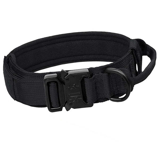 Cuello negro de Amazon