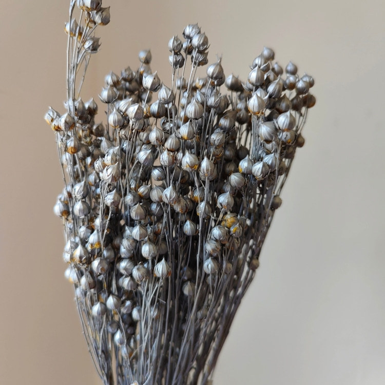 couleur argent