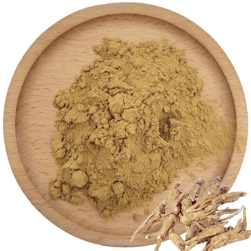 Highest selling angelica sinensis root extract