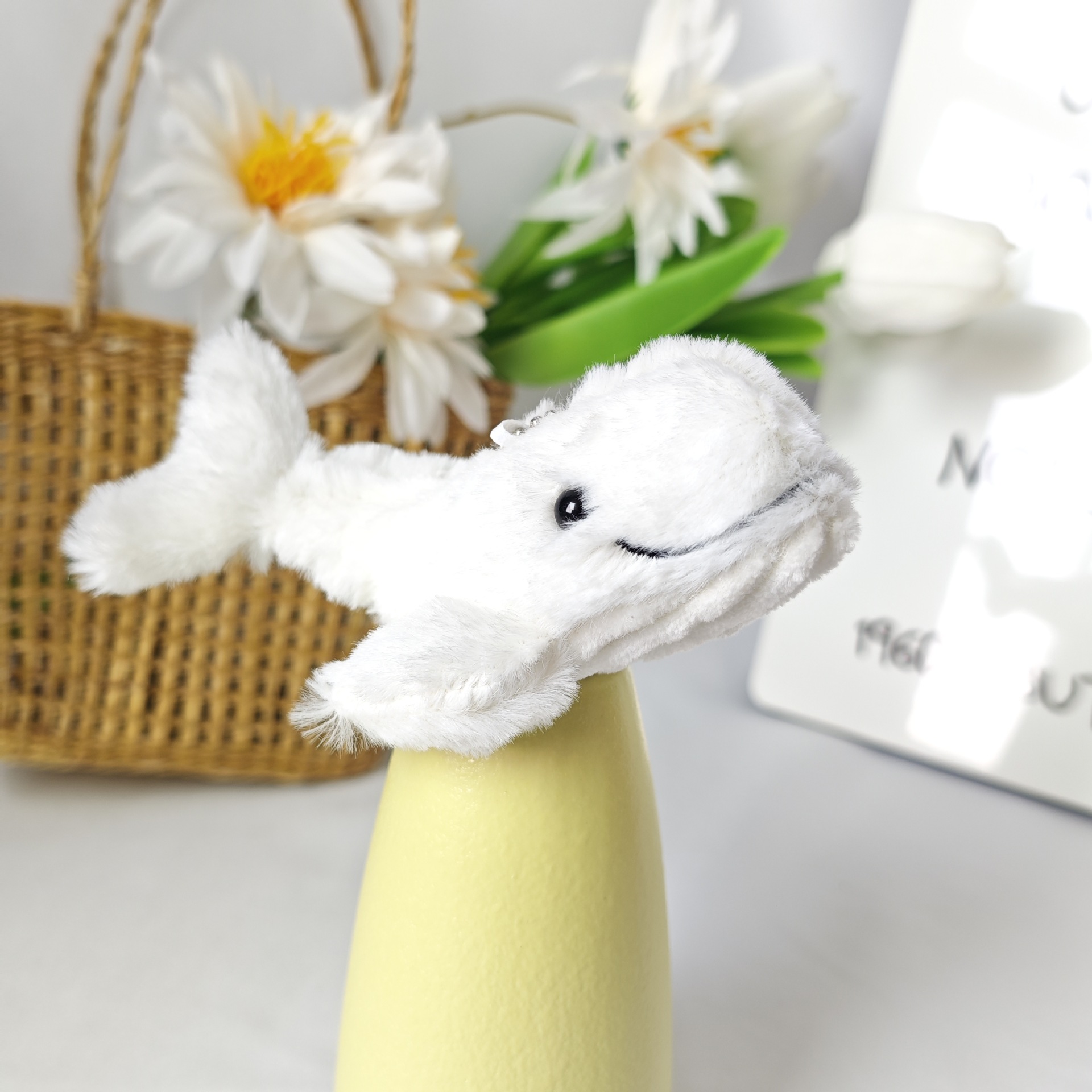 Dauphin blanc