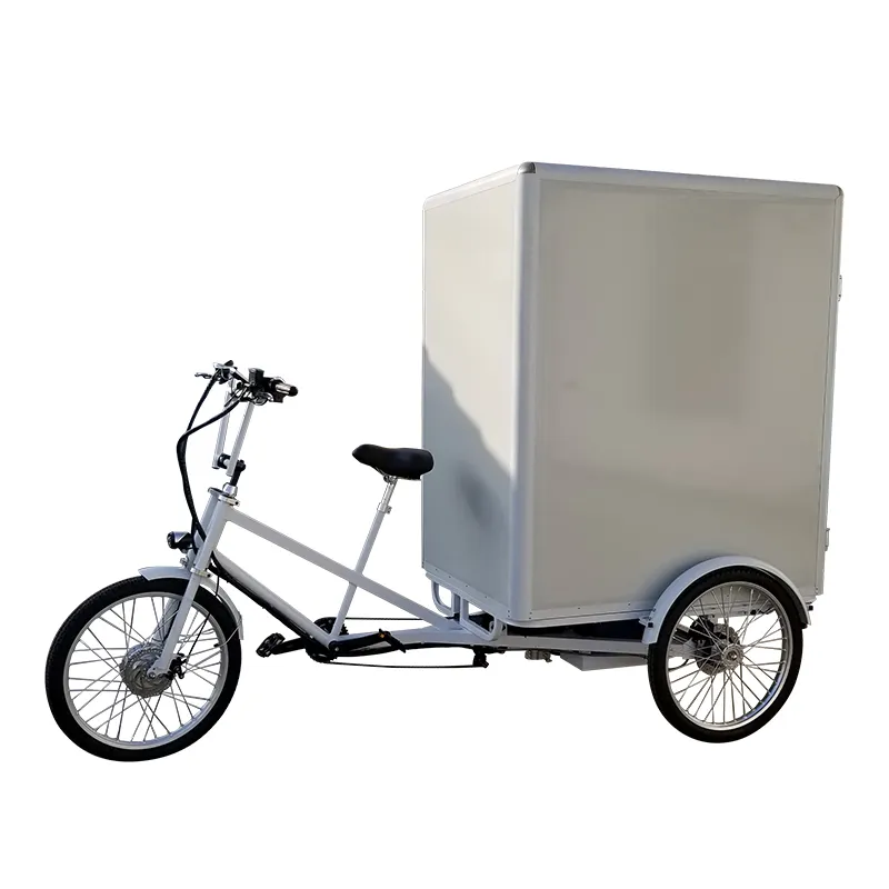 Spedizione di Importazione Duty Popolare della Città di Consegna Cibo Industriale Speciale Ha Bisogno di Bici Elettrica Cargo Triciclo Triciclo