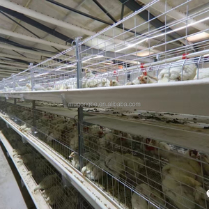 Sıcak satış otomatik Broiler besleme sistemi yetiştiriciliği pil Broiler kuşlar için kanatlı çiftlik