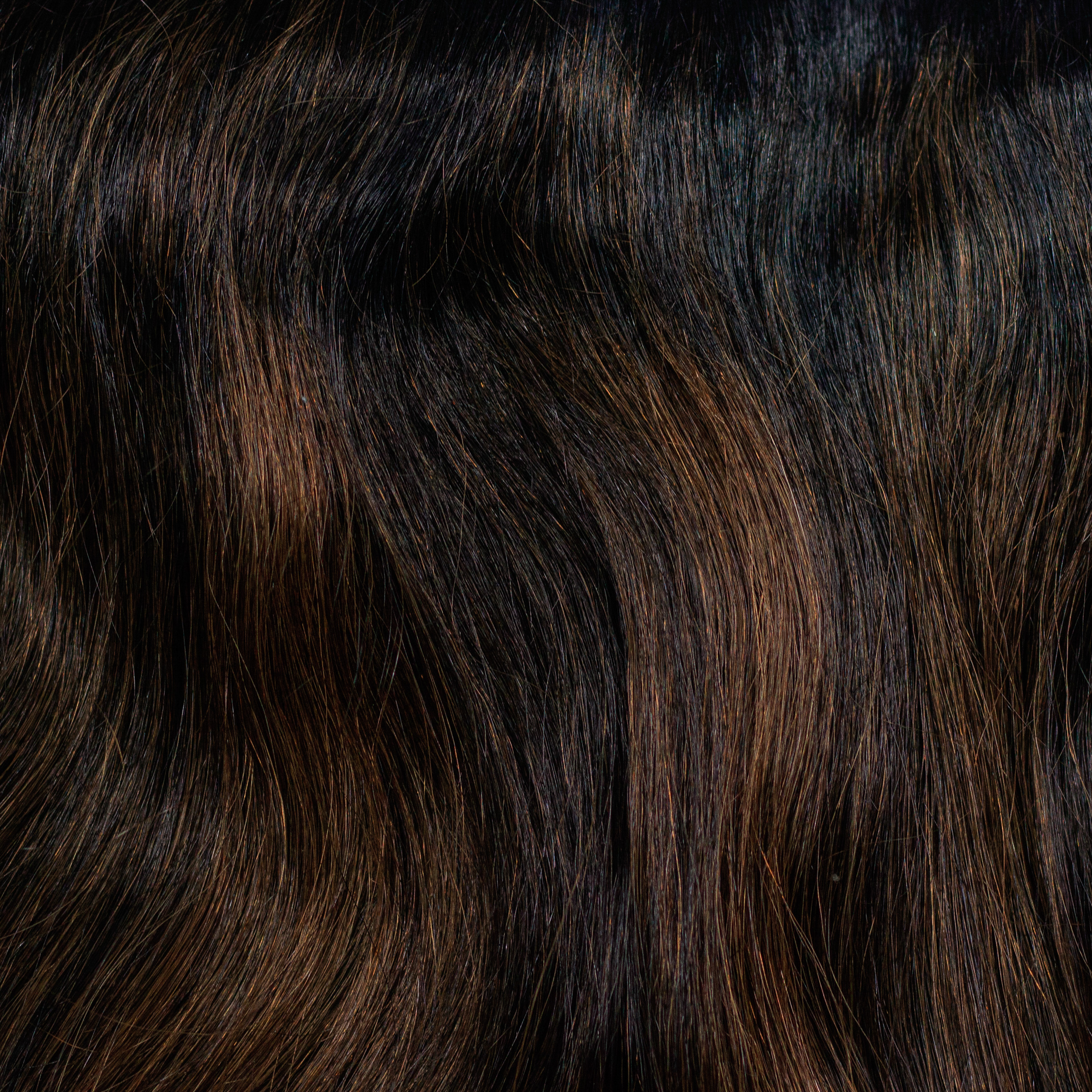 Patty Balayage Color