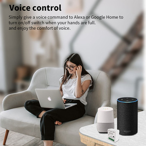 Interruptor inteligente de encendido/apagado para el hogar, minicontrolador Wifi con 2 vías de Control, 10A/16A - Product Image 3