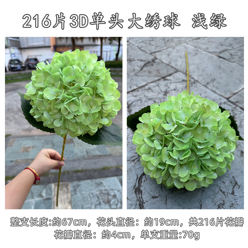 2163d grande hortensia vert à tête unique