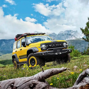 2024 2.0TチャレンジャーSUV GreatWall車両大スペースSUV車万里の長城タンク300全輪ドライブガソリン車販売