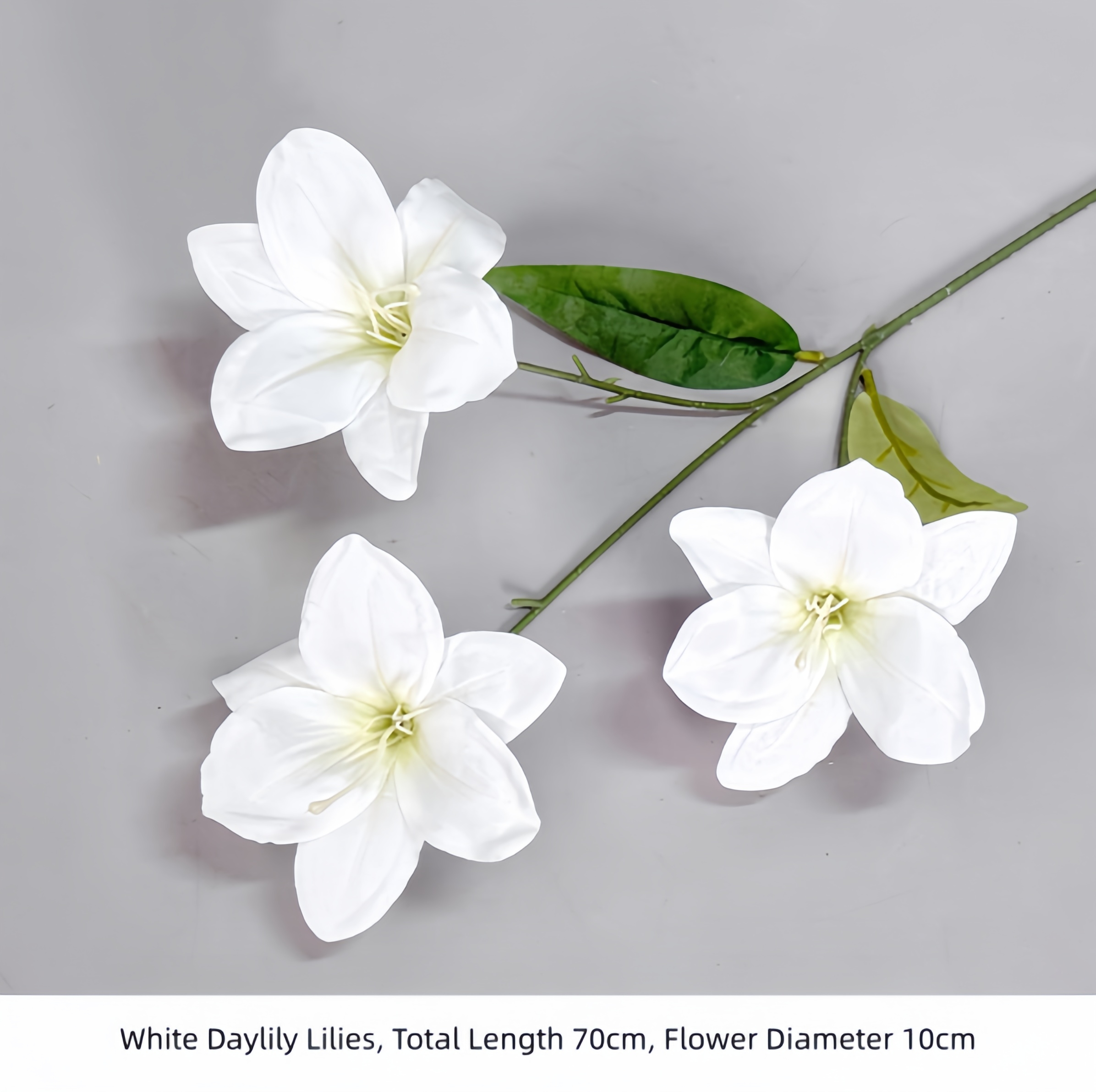 Lys des journées blancs
