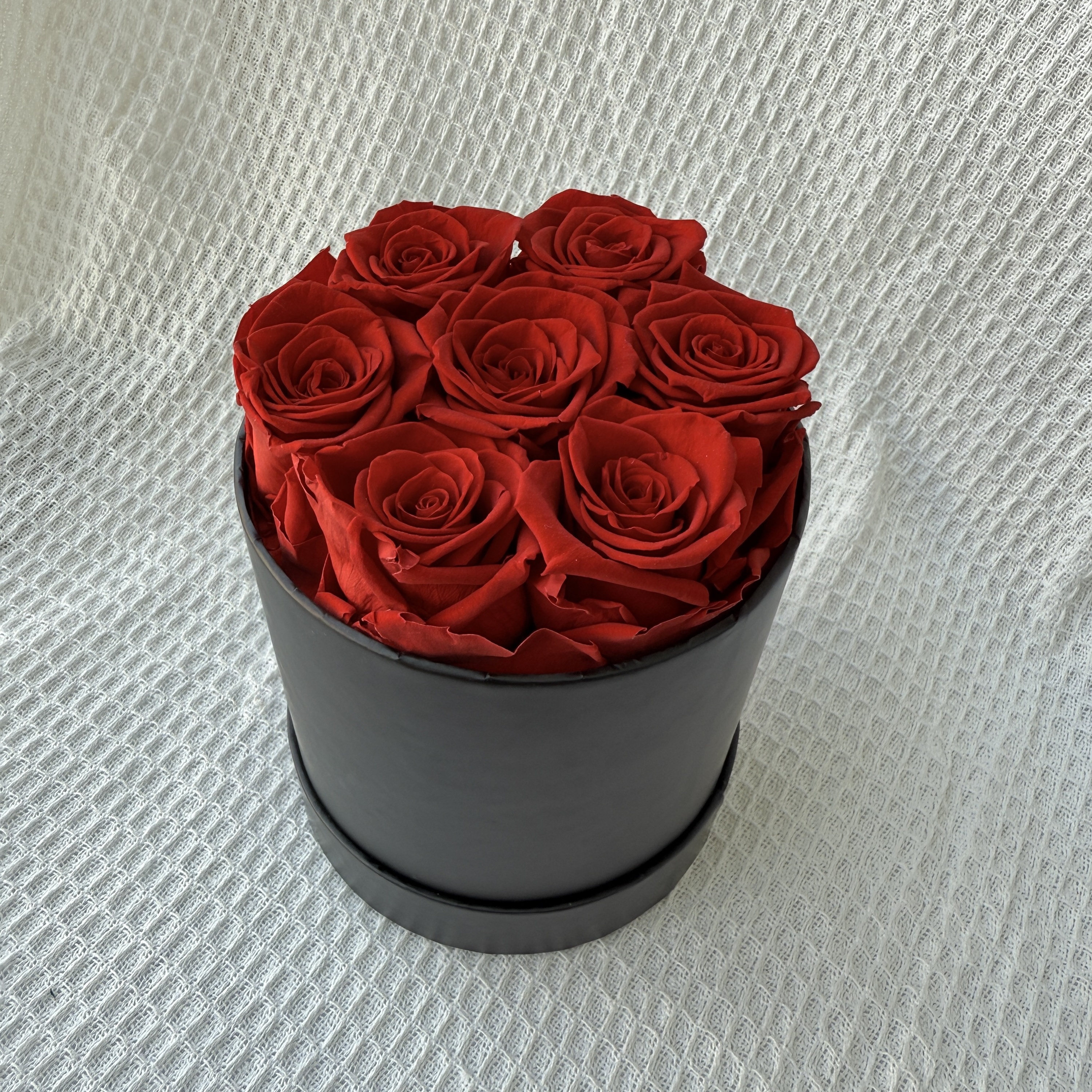 Rose rouge 7