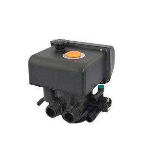 Valvola Runxin del sistema filtrante dell'addolcitore domestico del certificato di Nsf - Product Image 2