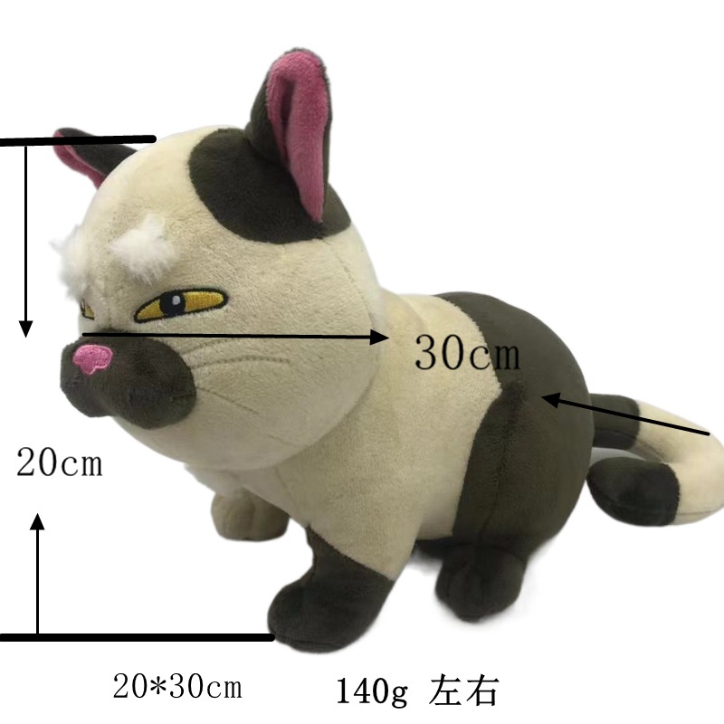 Chat d'été