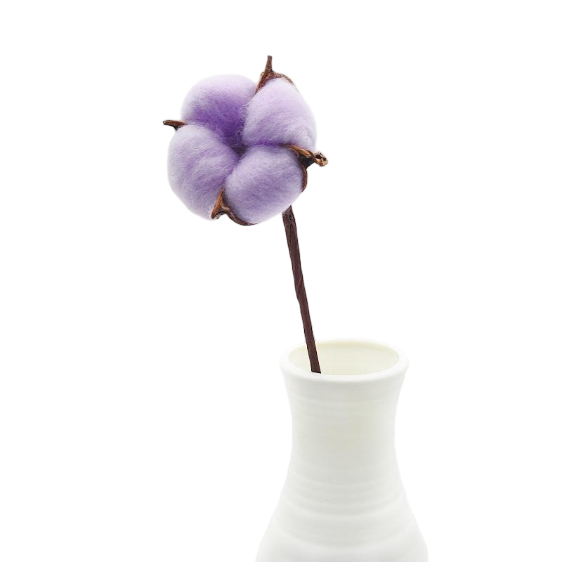 Ruo Light Purple