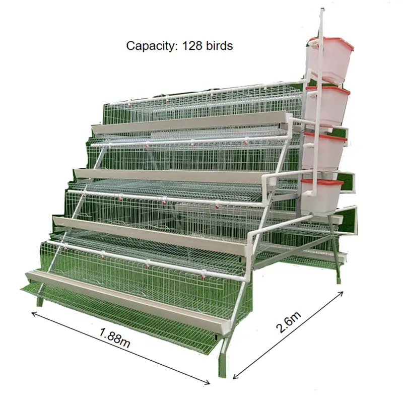 Attrezzature agricole per polli verniciati a polvere utilizzate nelle aziende agricole