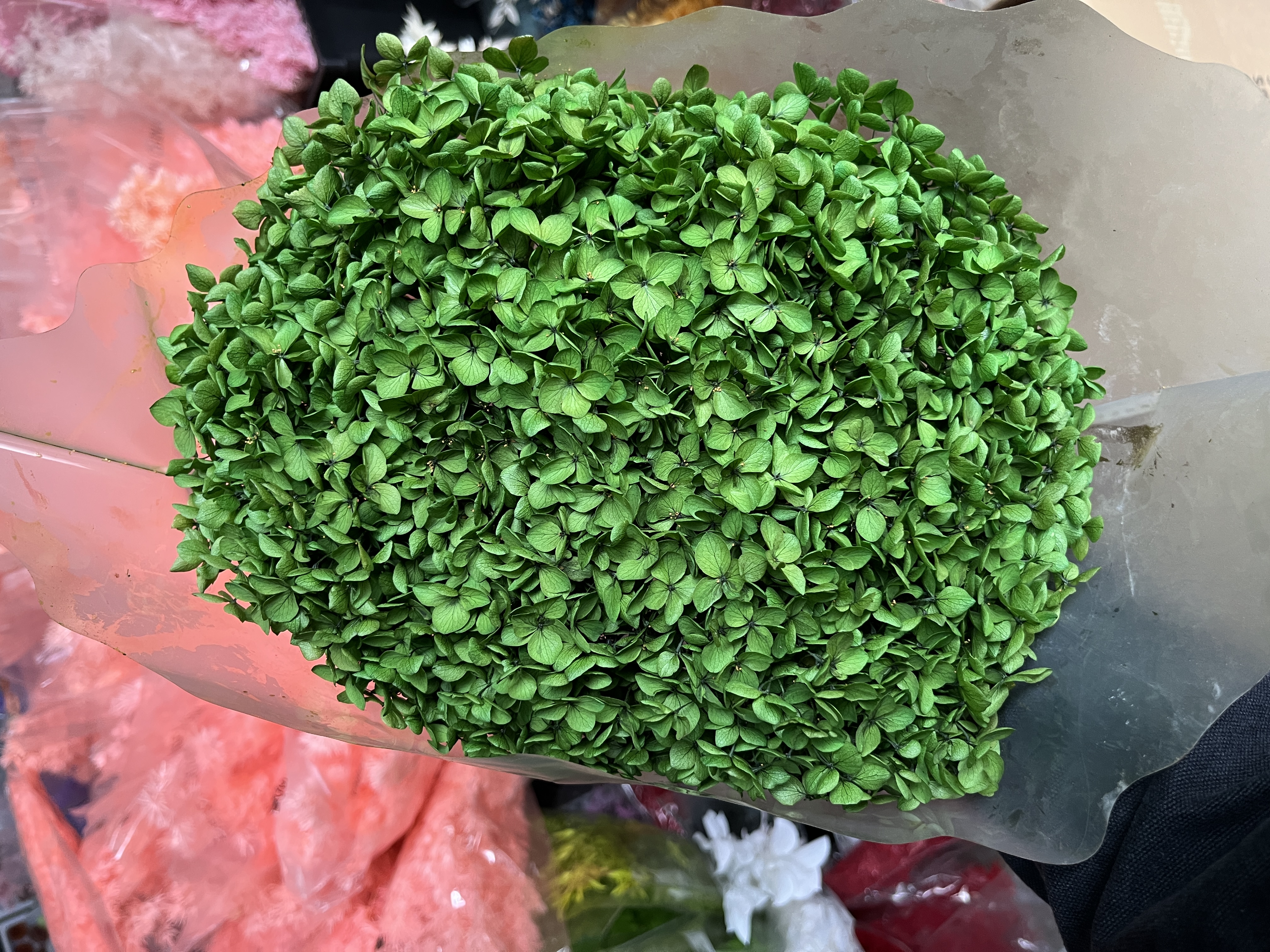 absorbing green