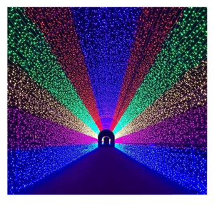 220V <strong>DMX</strong> 512 Programmable Christmas Decoration Outdoor Use IP65 High Quality <strong>Led</strong> <strong>String</strong> Light - Product Image 1