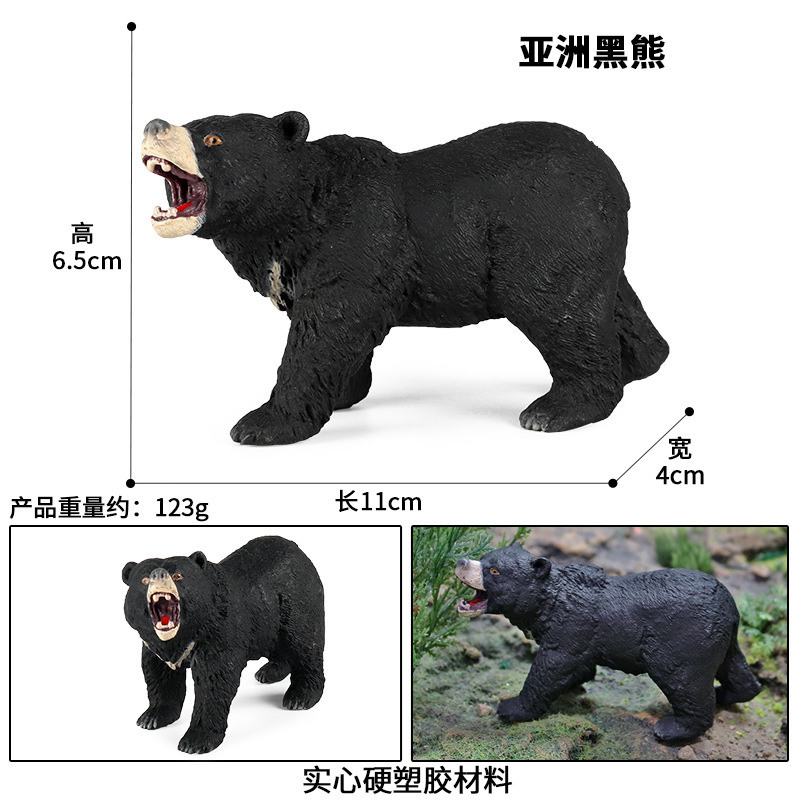 zjs-199Black Bear