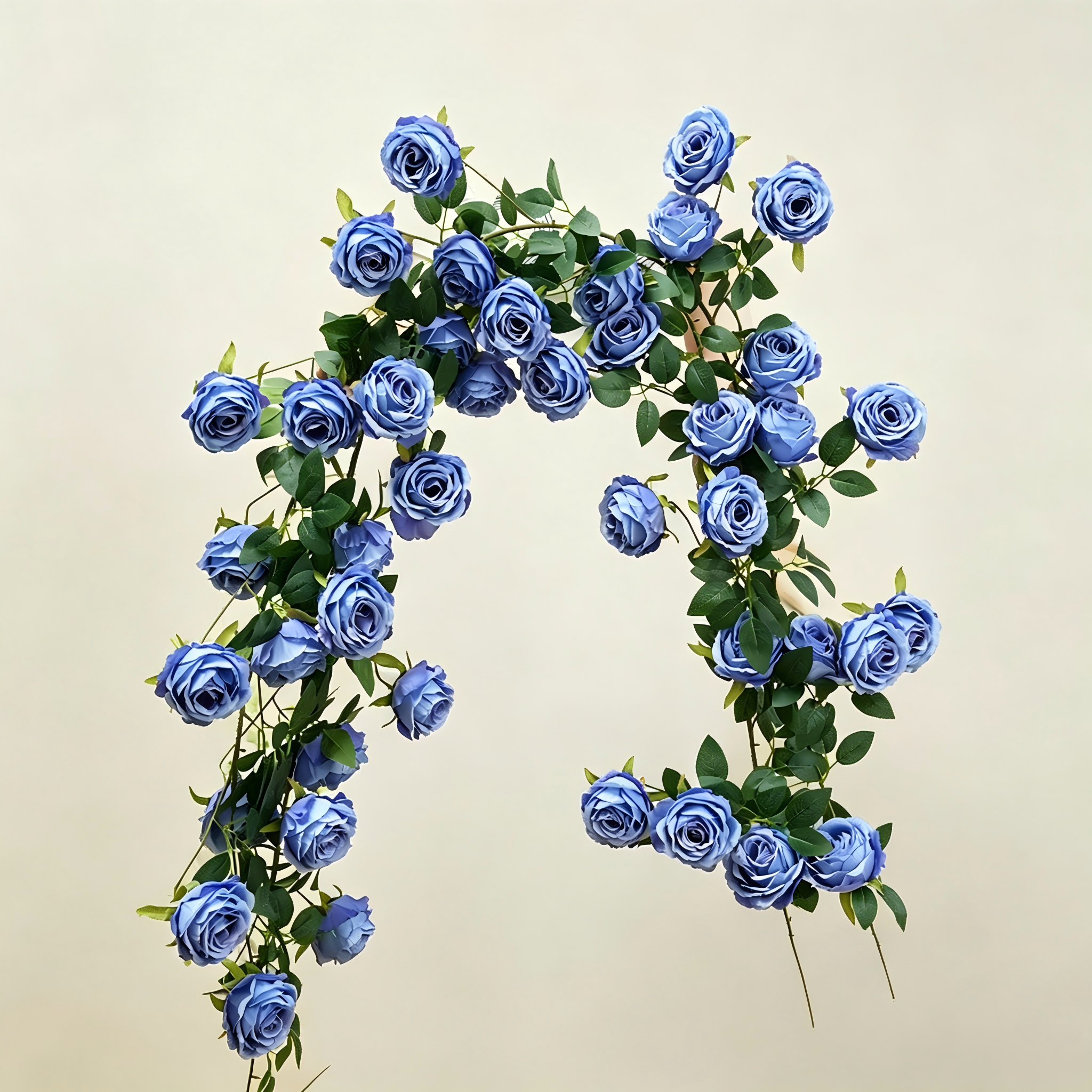 Blue large-flowered monet climbing rose-one vine
