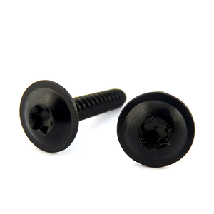 TortxネジM1.6 M2 M2.5 M3 M4 M6 M8 M10ステンレス製カスタムTortx - Product Image 3
