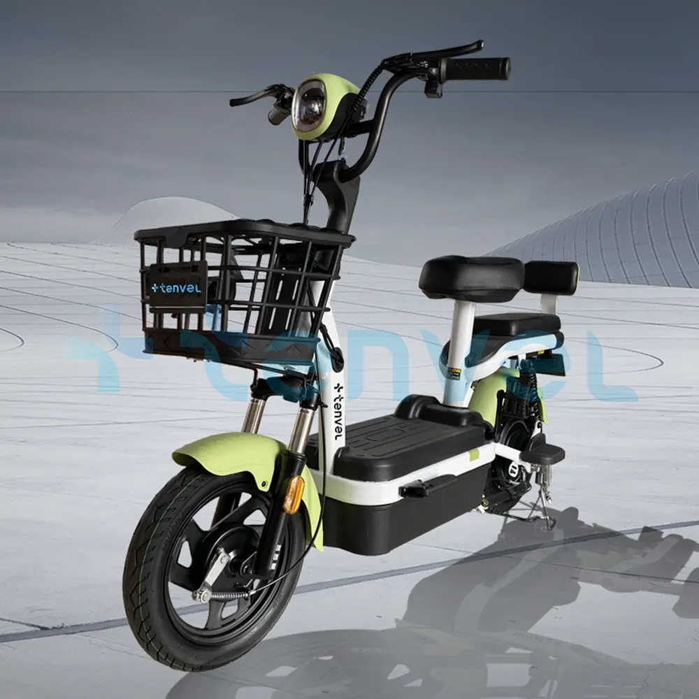 중국 공장 제조업체 도매 350W 48V 성인 전기 자전거 제어 자전거 판매 녹색 도시 전기 자전거