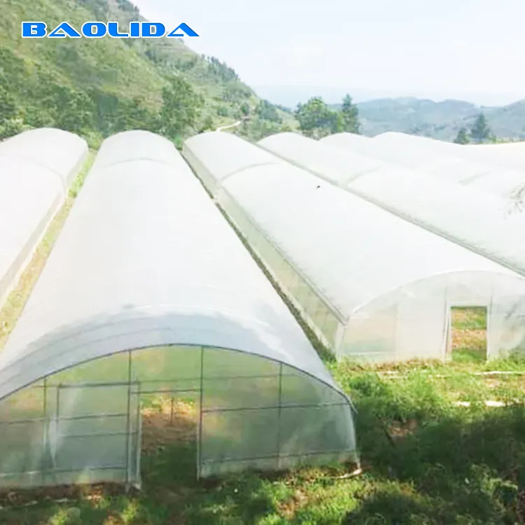 Vendita calda prezzo di fabbrica agricola tunnel serra