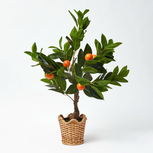 Zarif tasarım ve işçilik ile vietnam'dan yüksek kaliteli Rattan dekoratif ekici. - Product Image 4