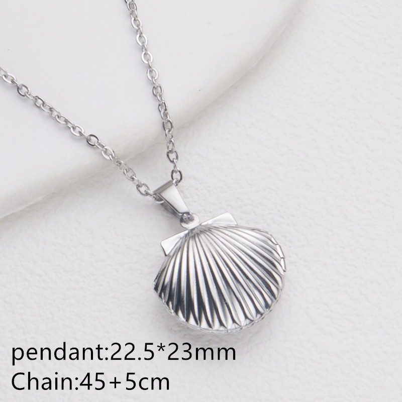 Steel color/shell