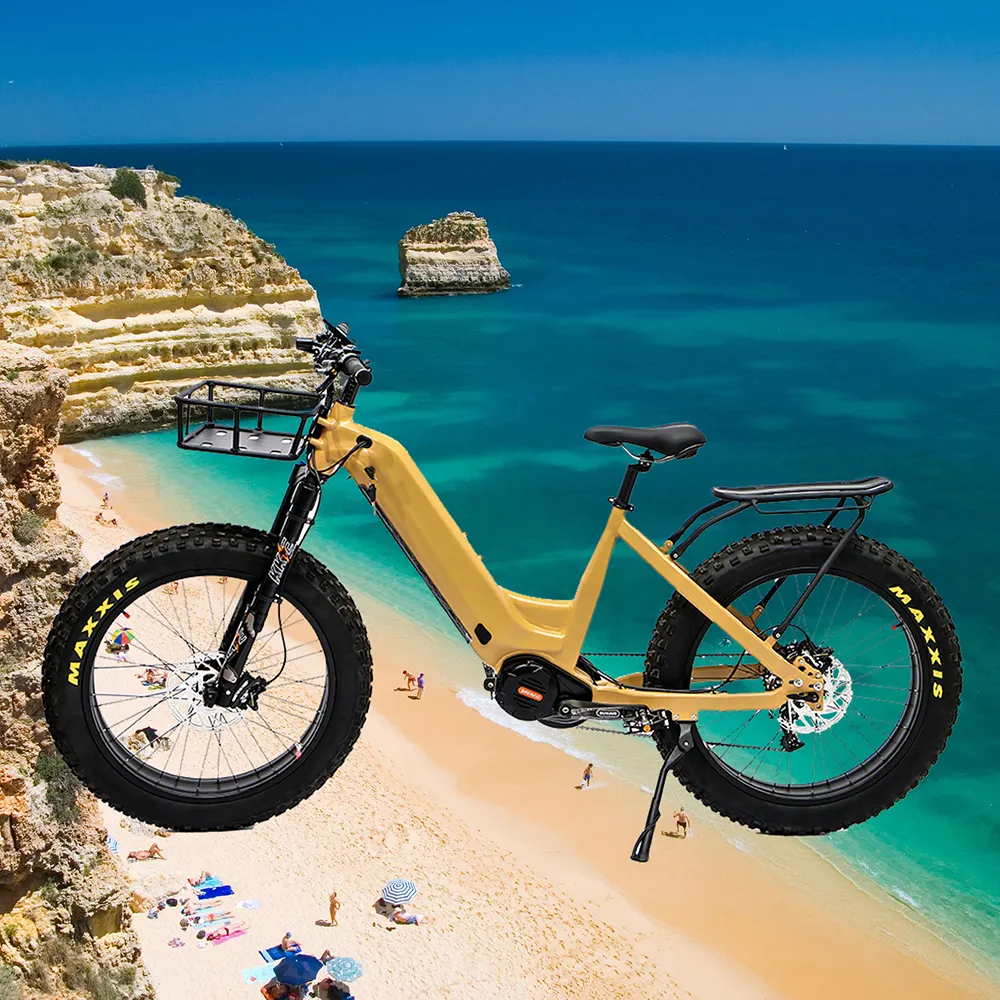 큰 할인 단계 통해 팻 타이어 전기 자전거 30ah 큰 배터리 오프로드 성인용 전기 트레일 자전거