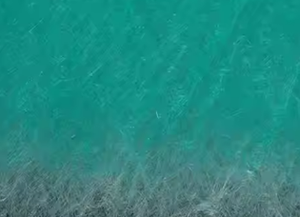玻璃纤维卷一次空气过滤器MERV8 G4碳纤维布泡沫聚酯合成纤维介质卷天花板过滤器 - Product Image 2