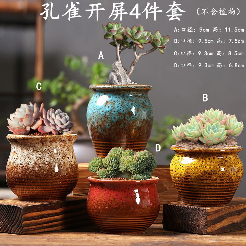 Ensemble de 4 pots de fleurs décoratifs Paon.