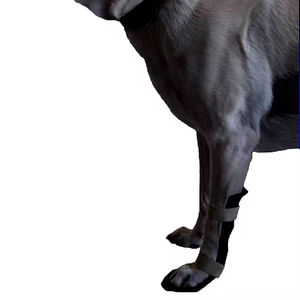 GAIA Veterinärs chienen Blau Niedrig thermoplast isches Bein oder Hals Hock Perforiert Einstellbares Modell K116g für Tiere - Product Image 2