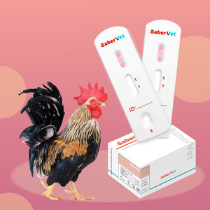 <span class=keywords><strong>Kit</strong></span> de <span class=keywords><strong>test</strong></span> de grippe aviaire pour animaux vétérinaires <span class=keywords><strong>kit</strong></span> de <span class=keywords><strong>test</strong></span> de grippe aviaire AIV <span class=keywords><strong>test</strong></span> rapide antigène du virus de la grippe aviaire kits de <span class=keywords><strong>test</strong></span> Aiv rapide - Product Image 2