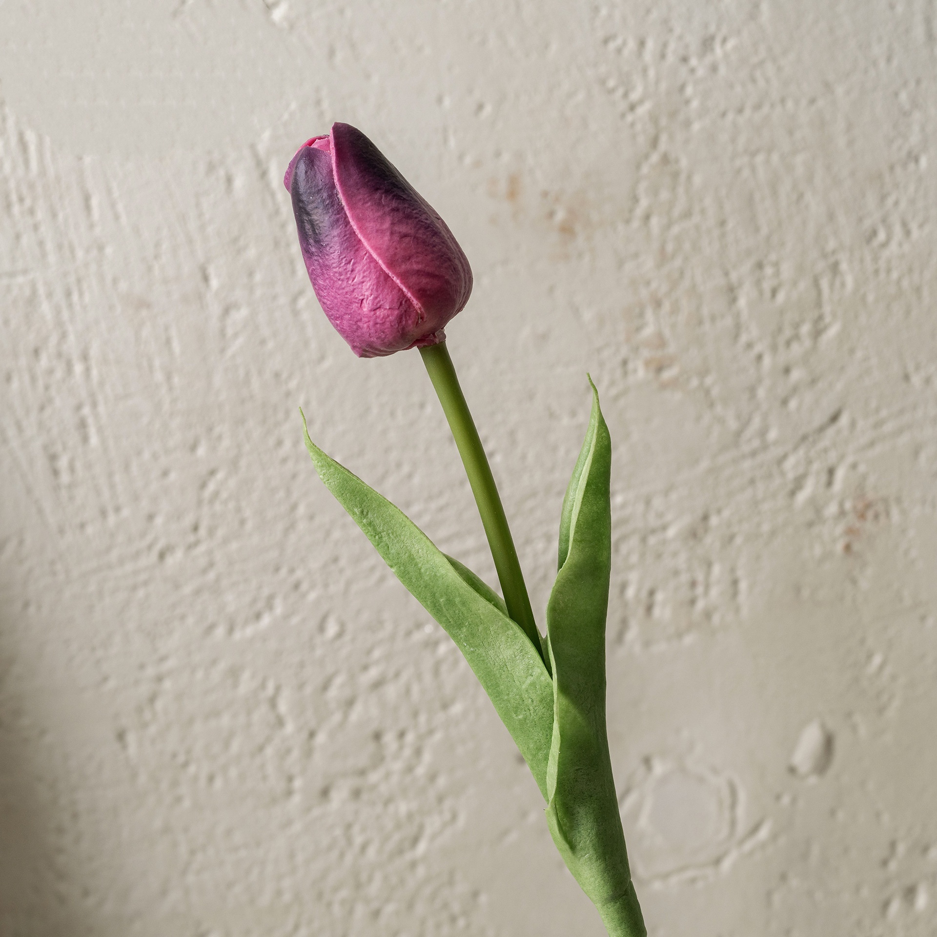 violet foncé