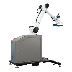 Braccio 6 assi Robot Max carico 30KG 40KG collaborativo robotizzato automatico carico e scarico Palletizer