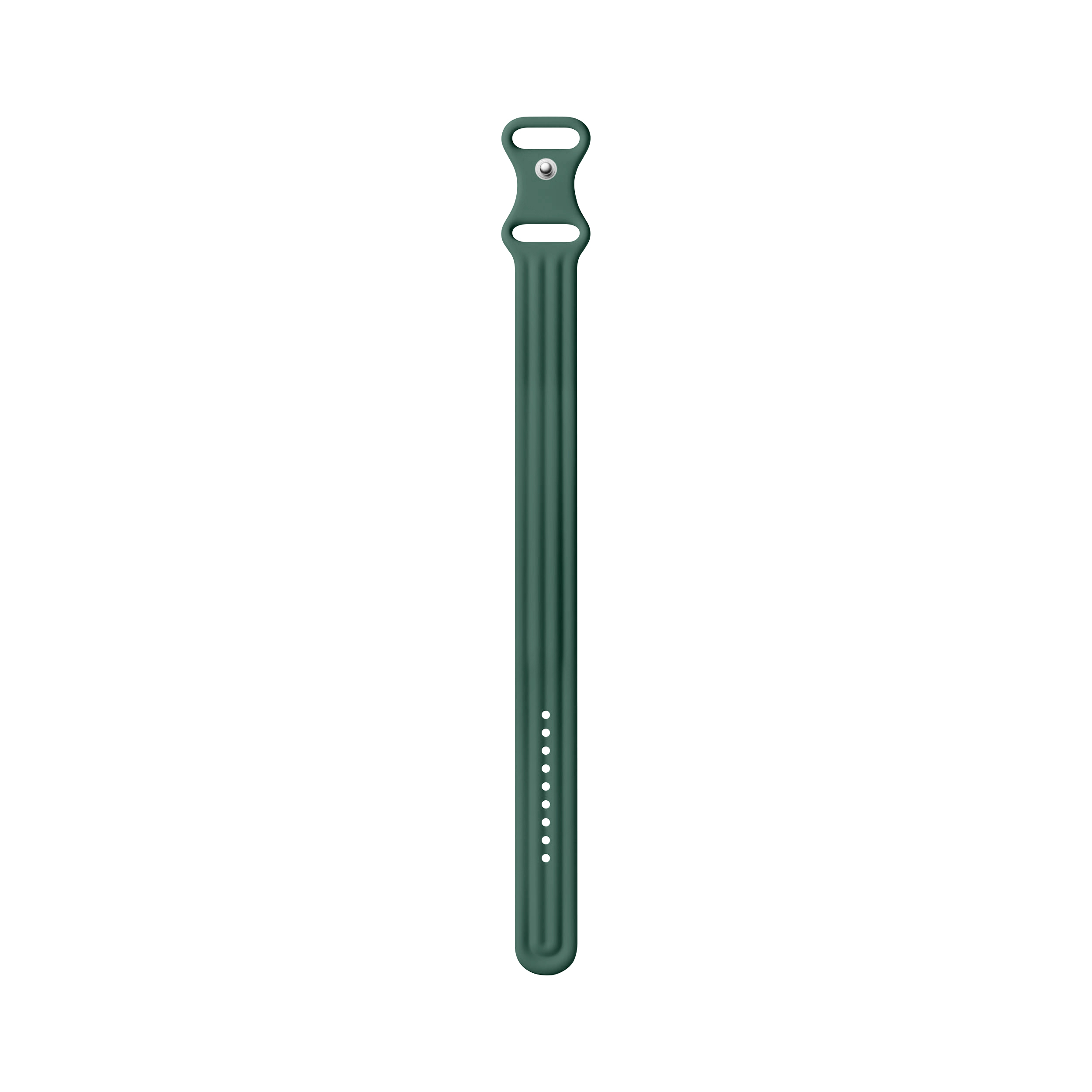 Aiguille de pin vert