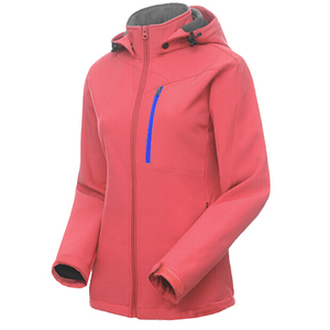 Outono novo modelo mulheres esportes desgaste Softshell jaquetas jaqueta Softshell barato das mulheres