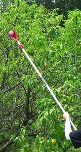 Meyve seçici aracı, pençe ve kutup ile meyve seçici montajı kolay, portakal, elma, limon, armut, nar için meyve seçici kullanın - Product Image 6