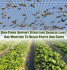 HDPE Nylon Anti Bird Netting Bird <strong>Net</strong> for Catching Birds/Garden Insect Netting