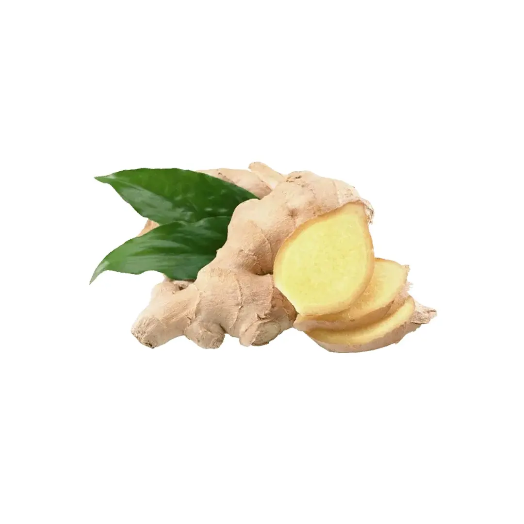 2024 Crop Dried Fresh Chinese Ginger for Export