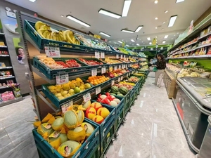 High Quality PP Material Plastic <strong>Crates</strong> <strong>Stack</strong> <strong>and</strong> <strong>Nested</strong> Recyclable Vegetable Fruit Plastic <strong>Crate</strong> Transport <strong>and</strong> Storage <strong>Crates</strong>